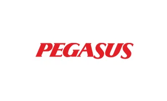 Pegasus