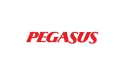 pegasus